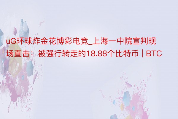 uG环球炸金花博彩电竞_上海一中院宣判现场直击：被强行转走的18.88个比特币 | BTC